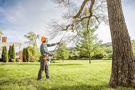  Athens, GA Tree Services Pros