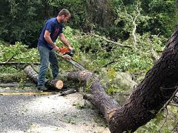 Best Lot and Land Clearing  in Athens, GA