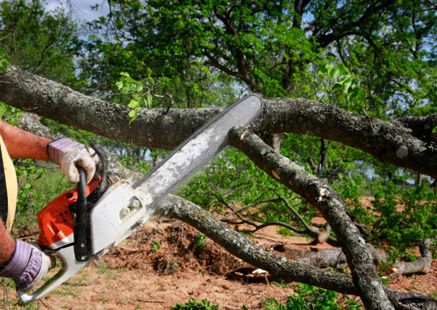 Best Lawn Irrigation Installation and Maintenance  in Athens, GA